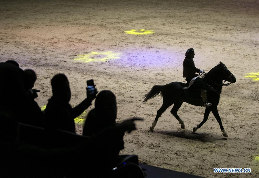 IRAN-TEHRAN-HORSE FESTIVAL