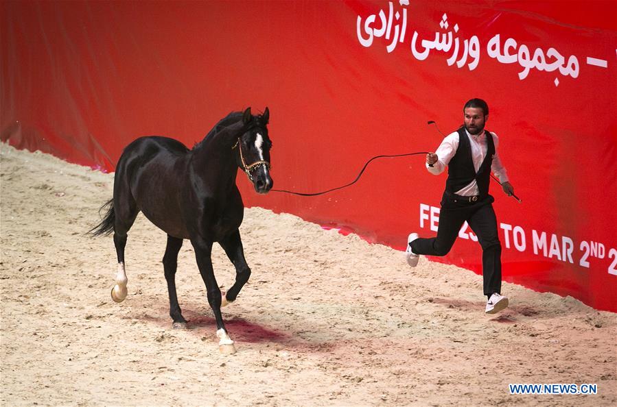 IRAN-TEHRAN-HORSE FESTIVAL