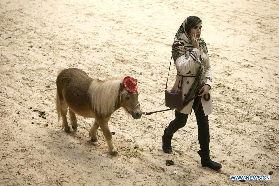 IRAN-TEHRAN-HORSE FESTIVAL