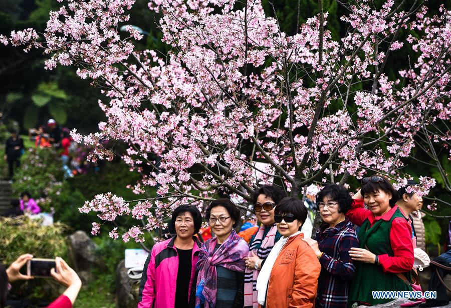 CHINA-TAIPEI-YANGMING MOUNTAIN-SCENERY(CN)