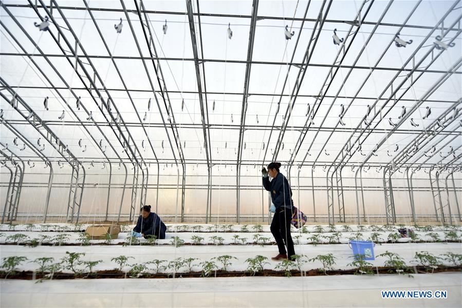 #CHINA-SPRING-FARMING (CN)