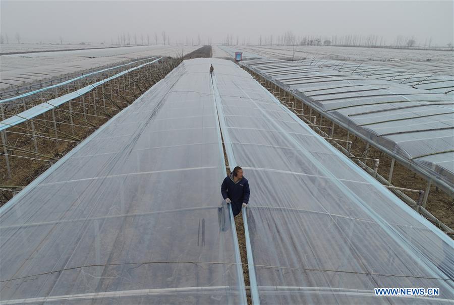 CHINA-SHAANXI-AGRICULTURE-GREENHOUSE (CN)