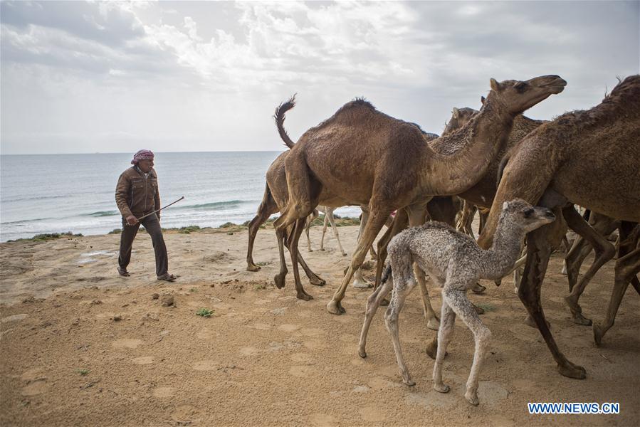 IRAN-QESHM ISLAND-DAILY LIFE