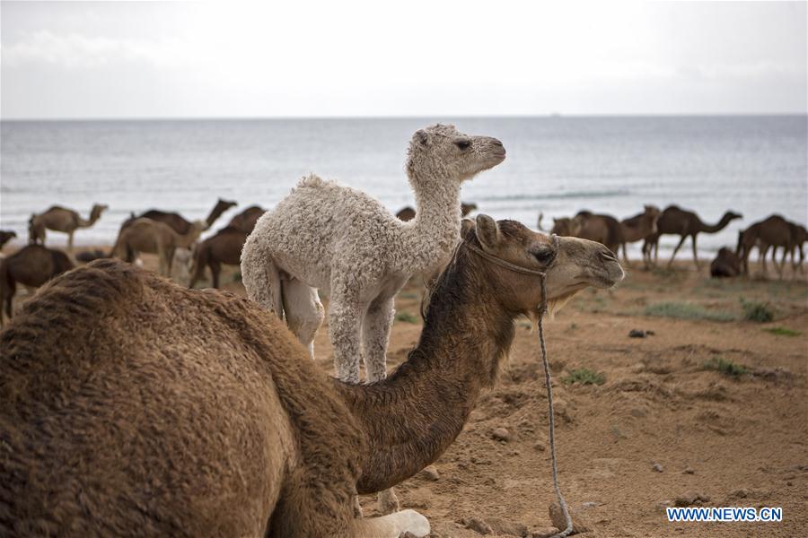 IRAN-QESHM ISLAND-DAILY LIFE