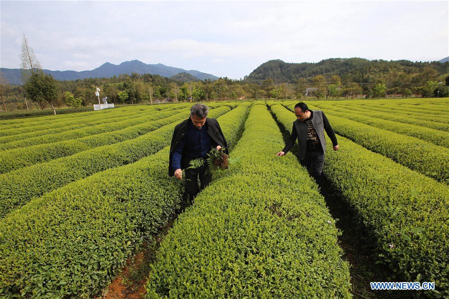 CHINA-FUJIAN-NANPING-SCIENCE AND TECHNOLOGY CORRESPONDENT (CN)