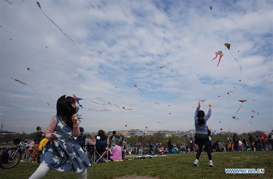 People fly kites during Cherry Blossom Kite Festival in Washington, D.C