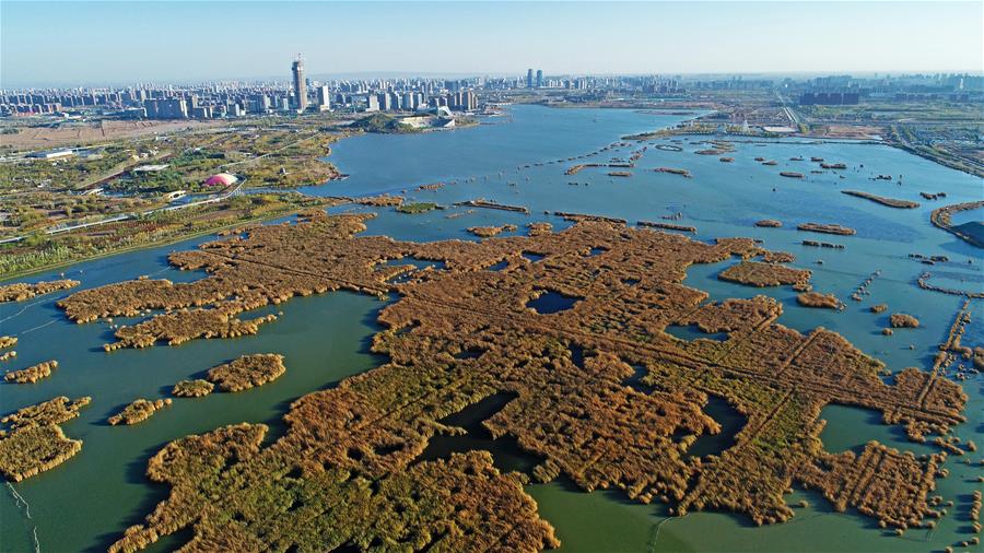 CHINA-WETLAND-PROTECTION (CN)