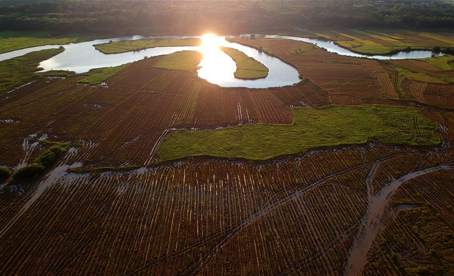 CHINA-WETLAND-PROTECTION (CN)