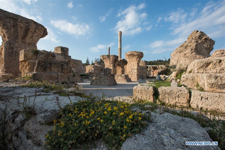 TUNISIA-TUNIS-CARTHAGE-ANTONINE BATHS