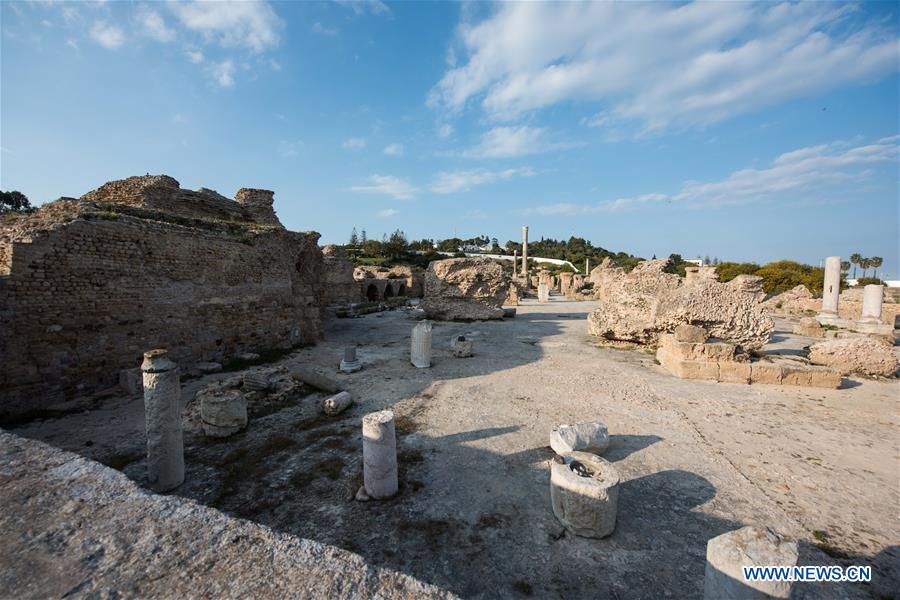 TUNISIA-TUNIS-CARTHAGE-ANTONINE BATHS