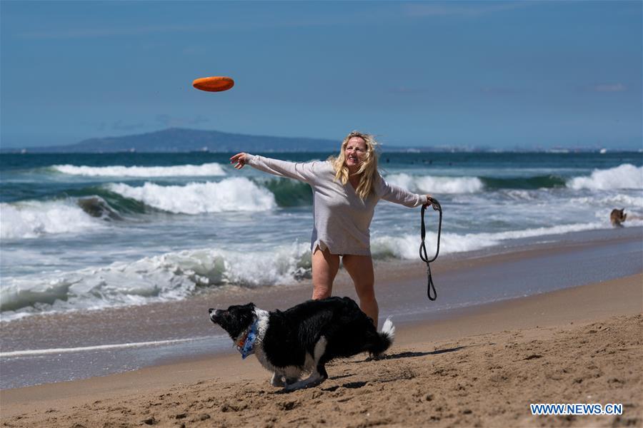 U.S.-CALIFORNIA-LOS ANGELES-CORGI BEACH DAY