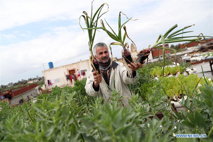 EGYPT-BEHEIRA-VILLAGE-POVERTY ALLEVIATION