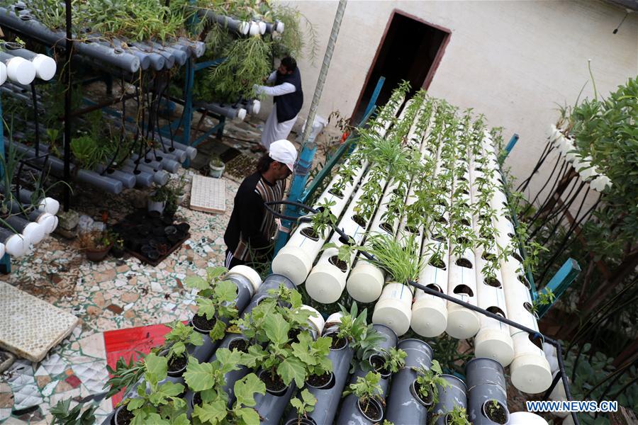 EGYPT-BEHEIRA-VILLAGE-POVERTY ALLEVIATION