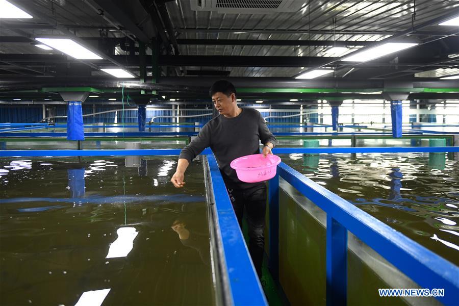 CHINA-ZHEJIANG-HUZHOU-INTELLIGENT AQUACULTURE (CN)