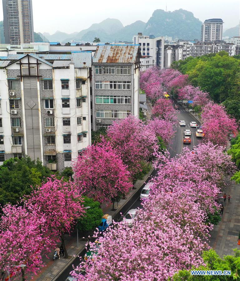 #CHINA-GUANGXI-LIUZHOU-FLOWERS (CN)