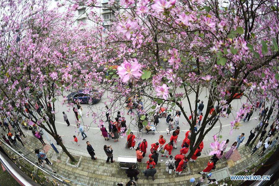 #CHINA-GUANGXI-LIUZHOU-FLOWERS (CN)