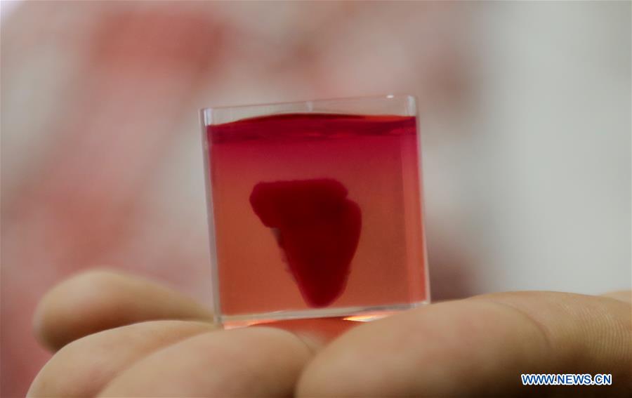ISRAEL-TEL AVIV-HEART-3D PRINTING