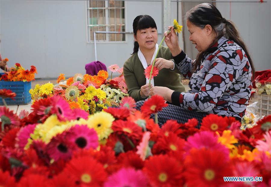 Xinhua Headlines: Technology counselors aid poverty alleviation 