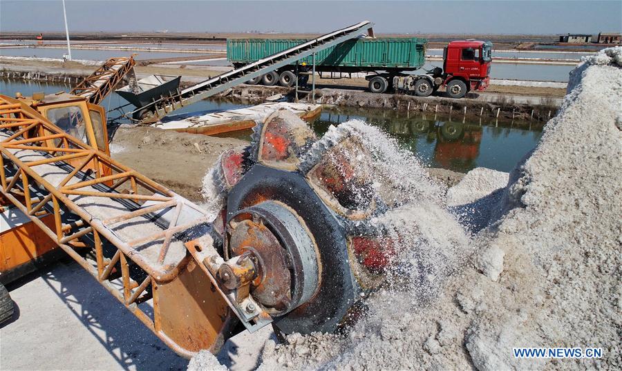 CHINA-HEBEI-TANGSHAN-SEA SALT (CN)