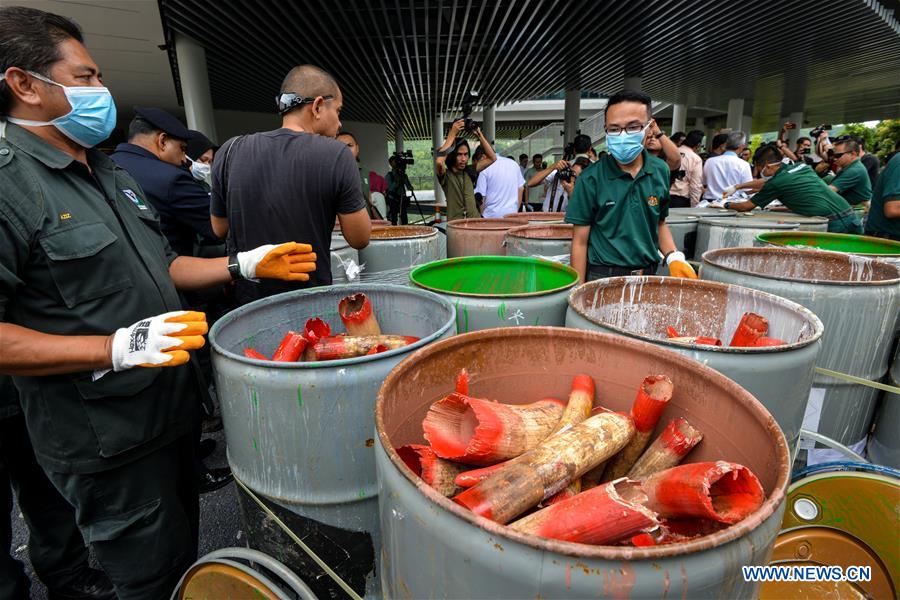 MALAYSIA-SEREMBAN-IVORY-INCINERATION