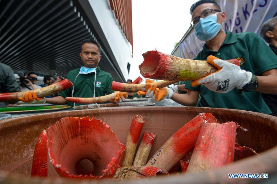 MALAYSIA-SEREMBAN-IVORY-INCINERATION