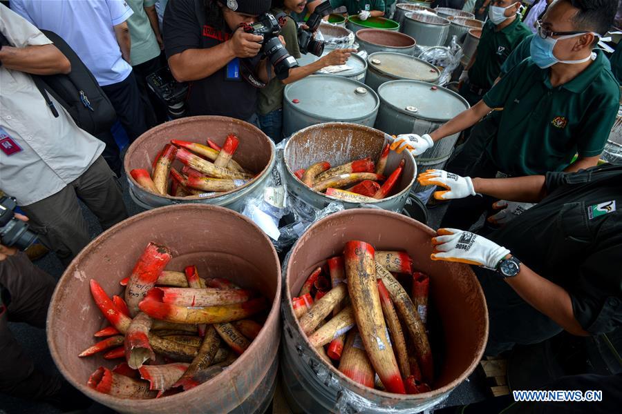 MALAYSIA-SEREMBAN-IVORY-INCINERATION