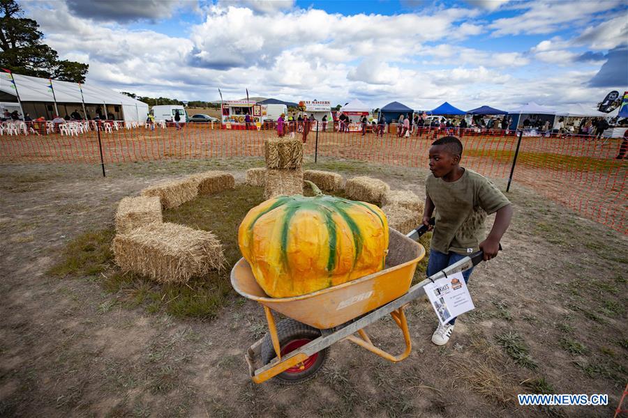 People celebrate Pumpkin Festival in Collector, Australia Xinhua