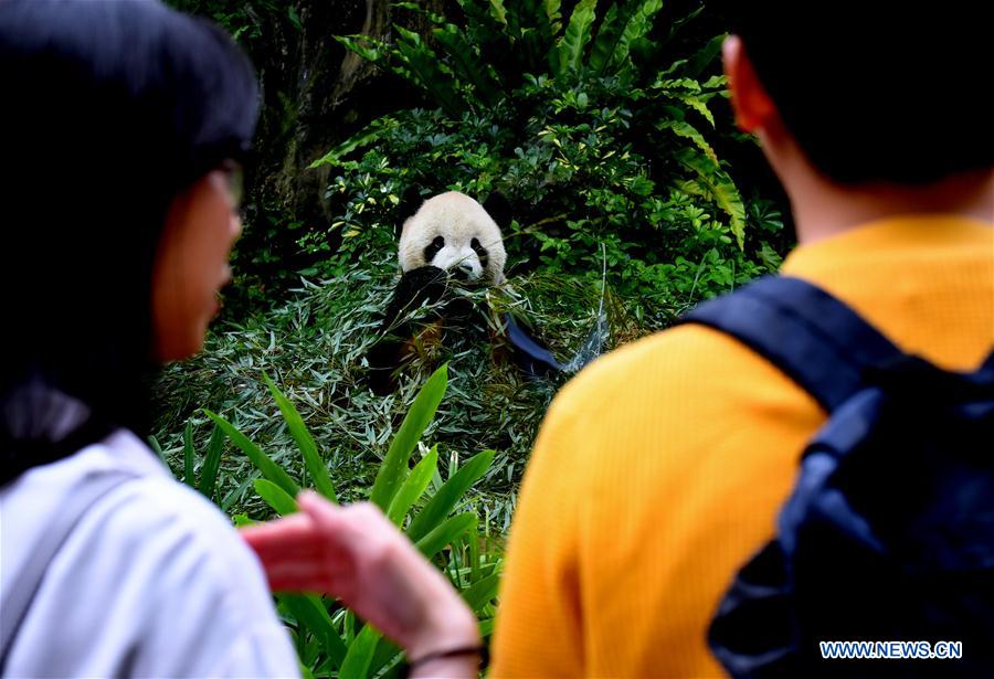 CHINA-TAIPEI-GIANT PANDAS-TOURISM (CN)
