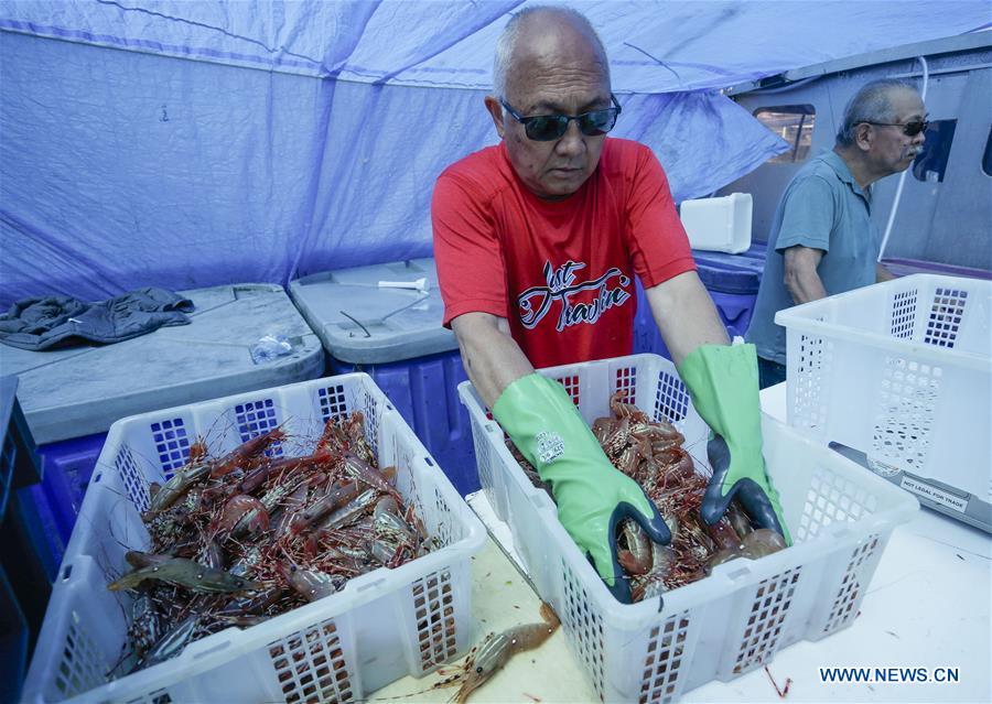 CANADA-RICHMOND-SPOT PRAWN SEASON