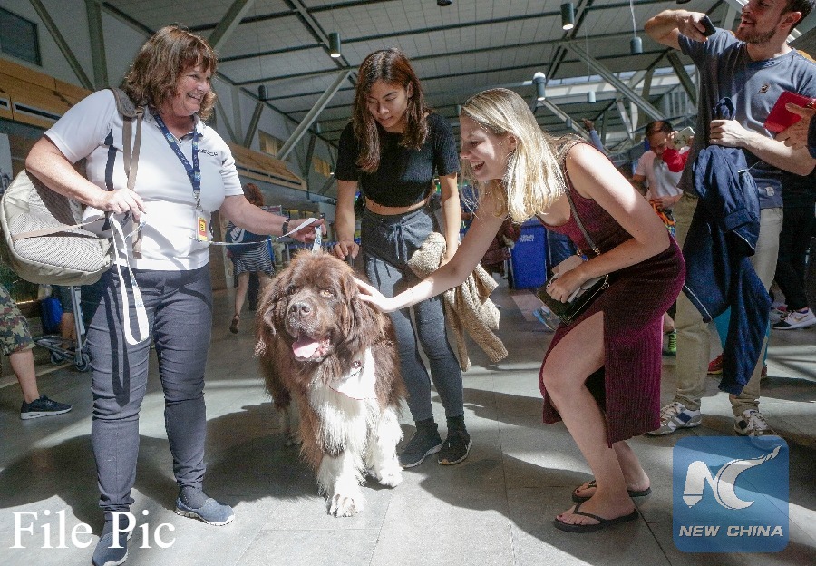 Israel To Set Up Pet Terminal At Ben Gurion Airport Xinhua English News Cn