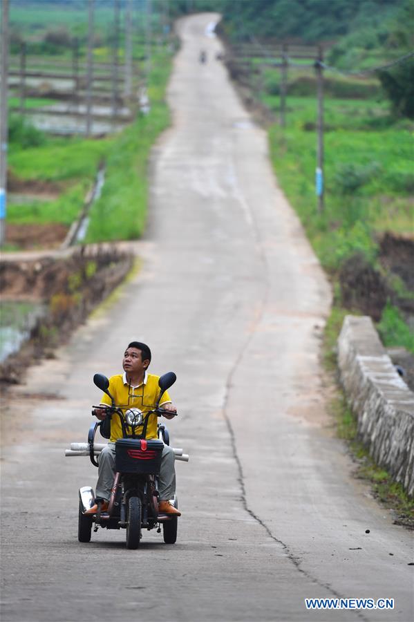 CHINA-JIANGXI-LICHUAN-DISABLED PAINTER (CN)