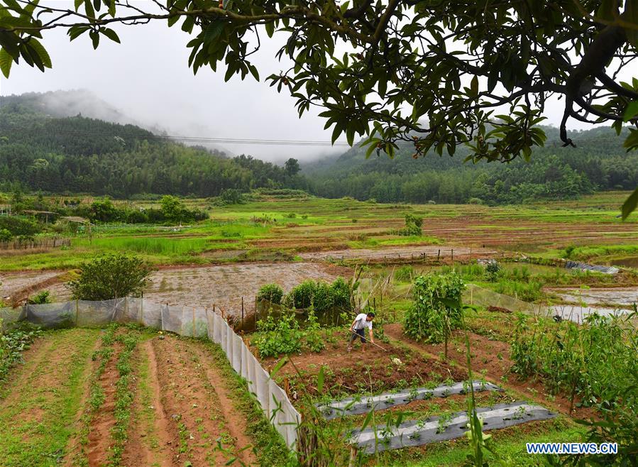 CHINA-JIANGXI-LICHUAN-DISABLED PAINTER (CN)