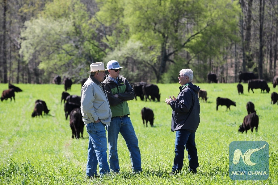  "Maximizing Your Agricultural Success with AG Loans: A Comprehensive Guide to Financing Your Farm"