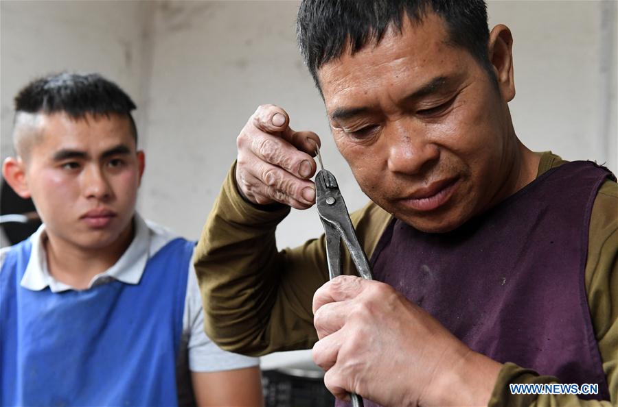 CHINA-GUANGXI-INSTRUMENT-LUSHENG-MAKING (CN)