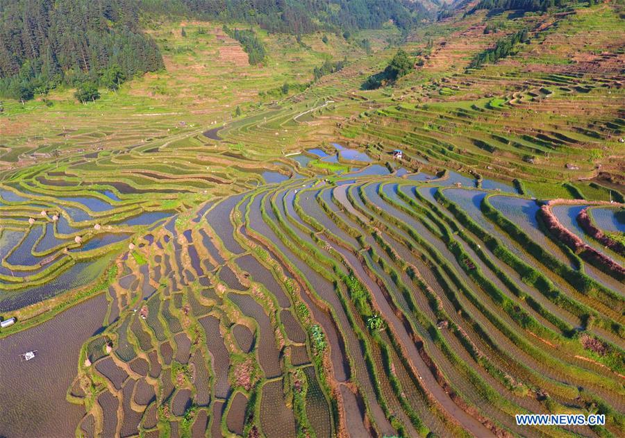 CHINA-GUANGXI-RONGSHUI-TERRACED FIELDS (CN)