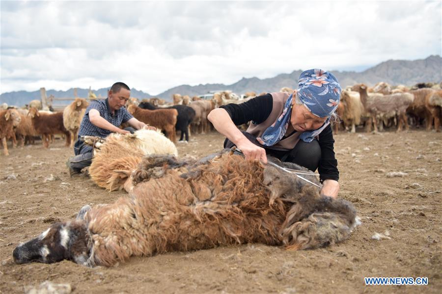 CHINA-XINJIANG-ALTAY-SUMMER PASTURE(CN)