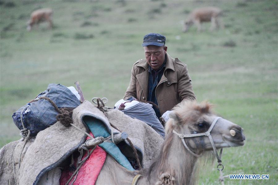 CHINA-XINJIANG-ALTAY-SUMMER PASTURE(CN)