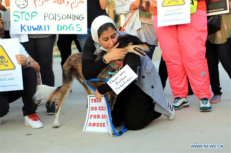 KUWAIT-KUWAIT CITY-RALLY-STRAY ANIMALS-PROTECTION