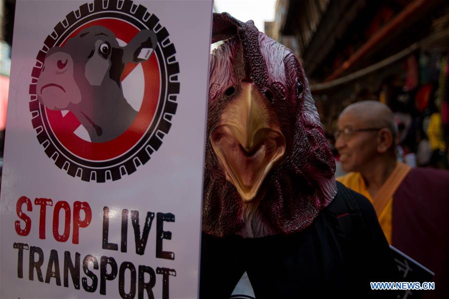 protest rally against animal sacrifices held in kathmandu, nepal