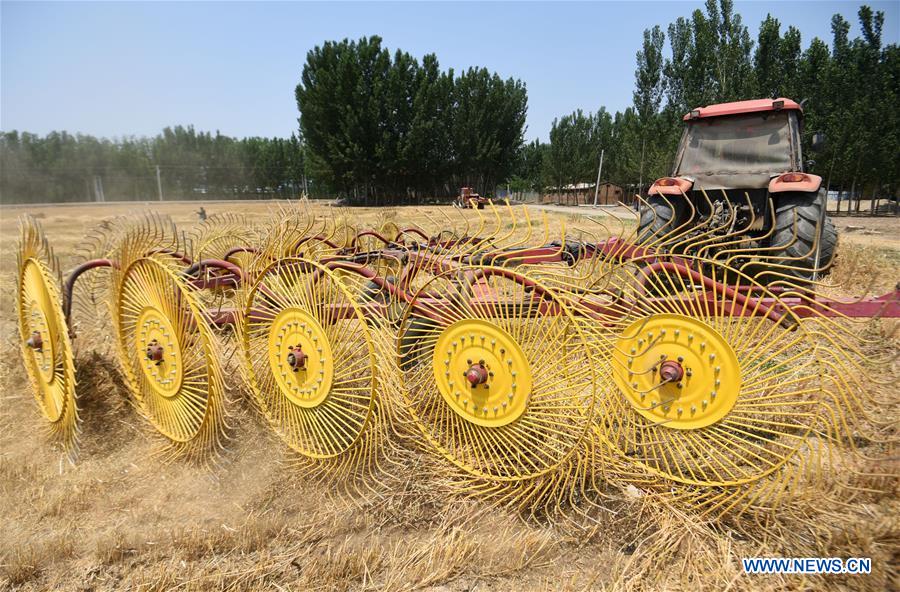 #CHINA-WHEAT STRAW-RECYCLING (CN)