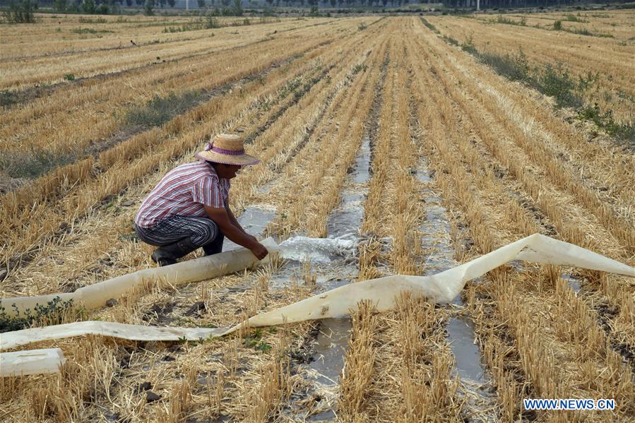 CHINA-SHANDONG-DROUGHT (CN)