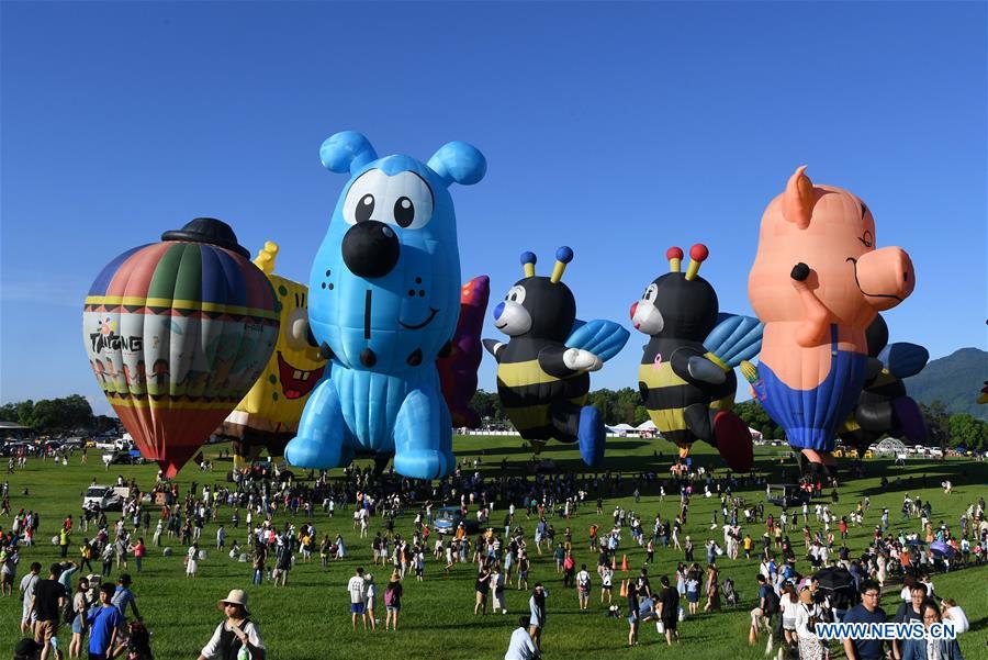 Hot air balloon festival held in China 