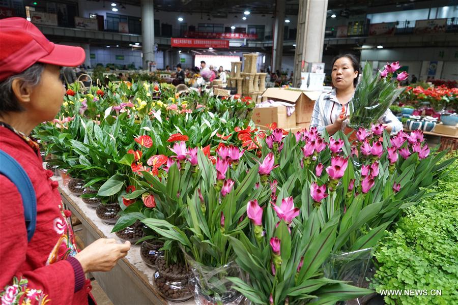 CHINA-KUNMING-INTERNATIONAL FLOWER EXPO (CN)