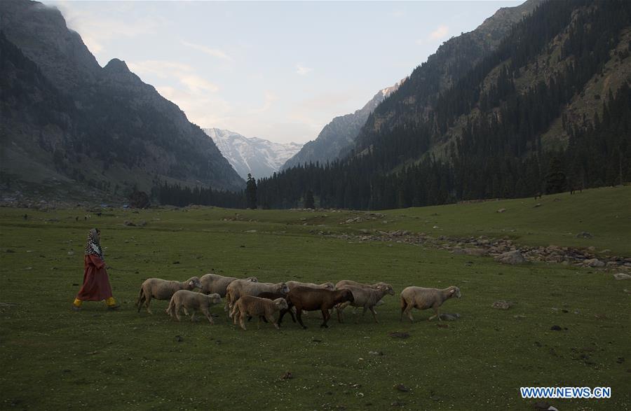 KASHMIR-SRINAGAR-DAILY LIFE