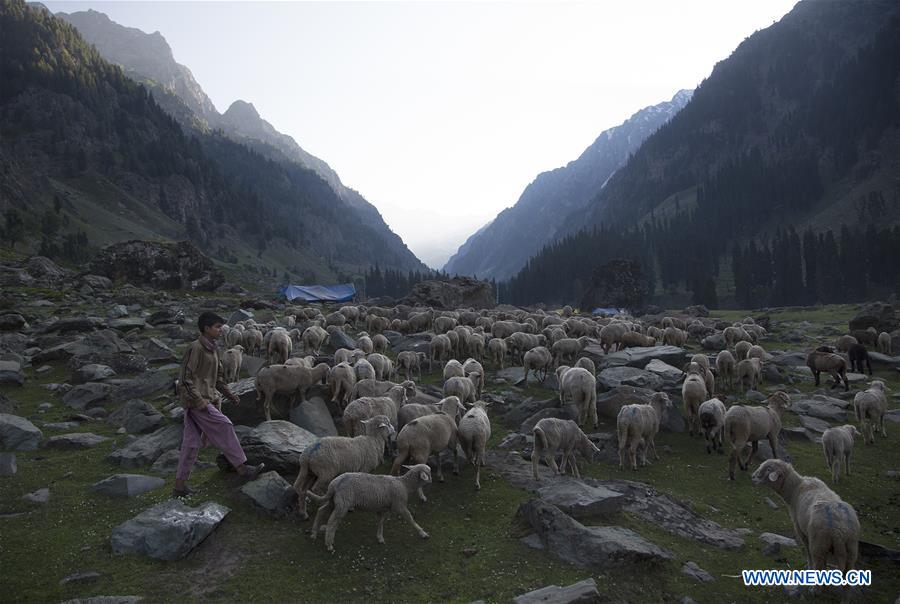 KASHMIR-SRINAGAR-DAILY LIFE