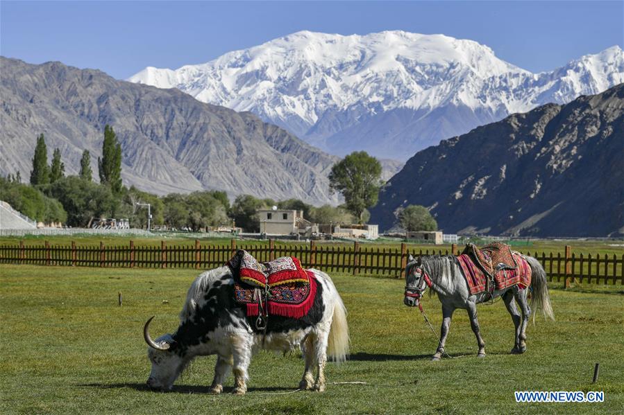 CHINA-XINJIANG-TAXKORGAN-SUMMER-SCENERY (CN)