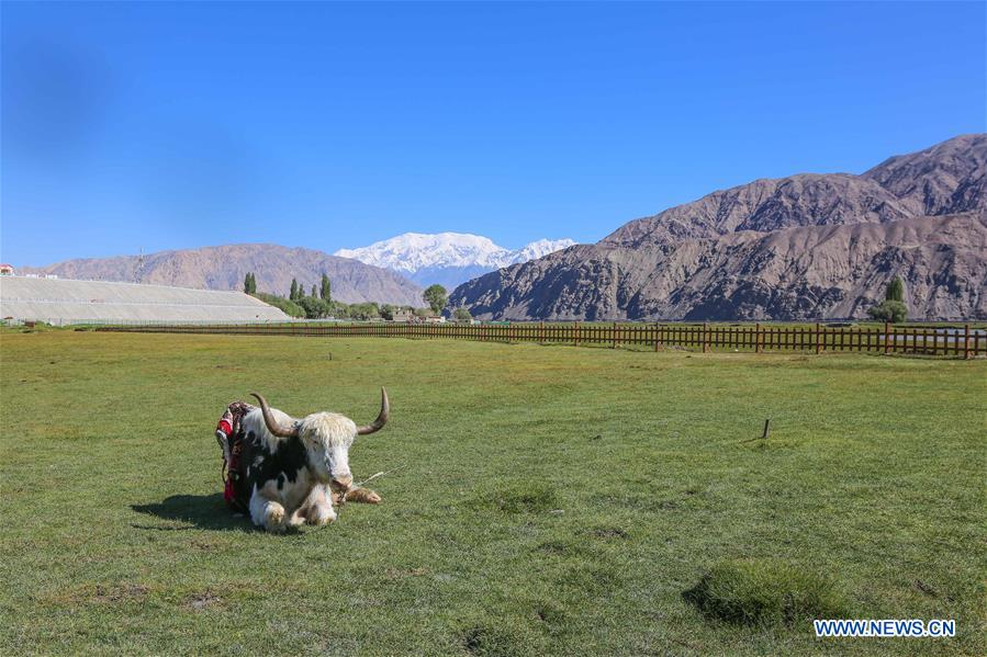 CHINA-XINJIANG-TAXKORGAN-SUMMER-SCENERY (CN)