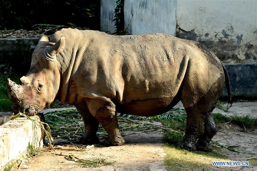 BANGLADESH-DHAKA-ZOO