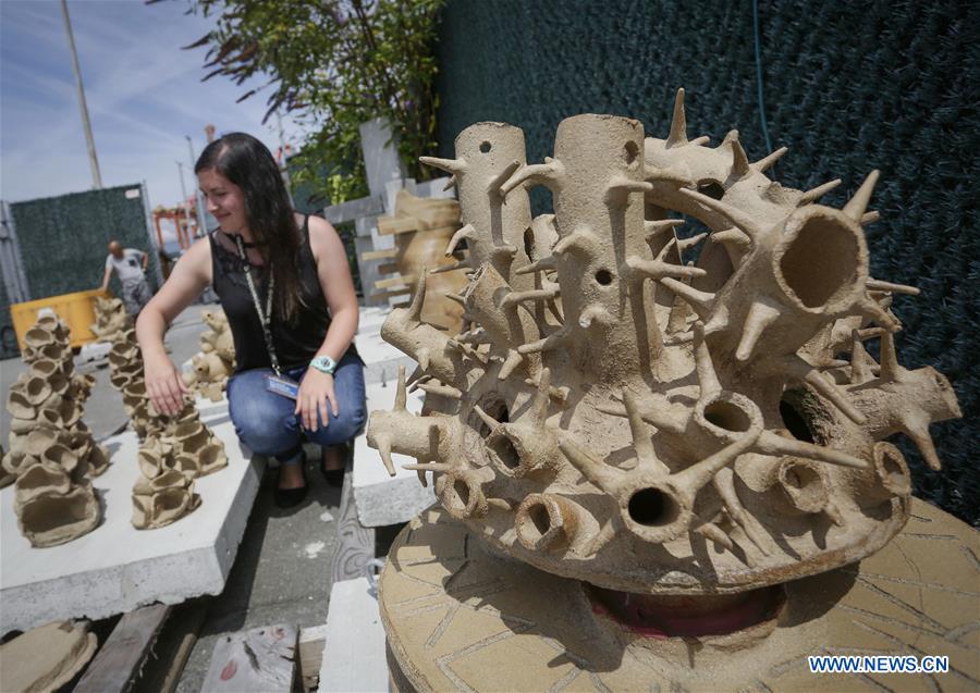 CANADA-VANCOUVER-MARINE CONSERVATION-UNDERSEA ART INSTALLATION 