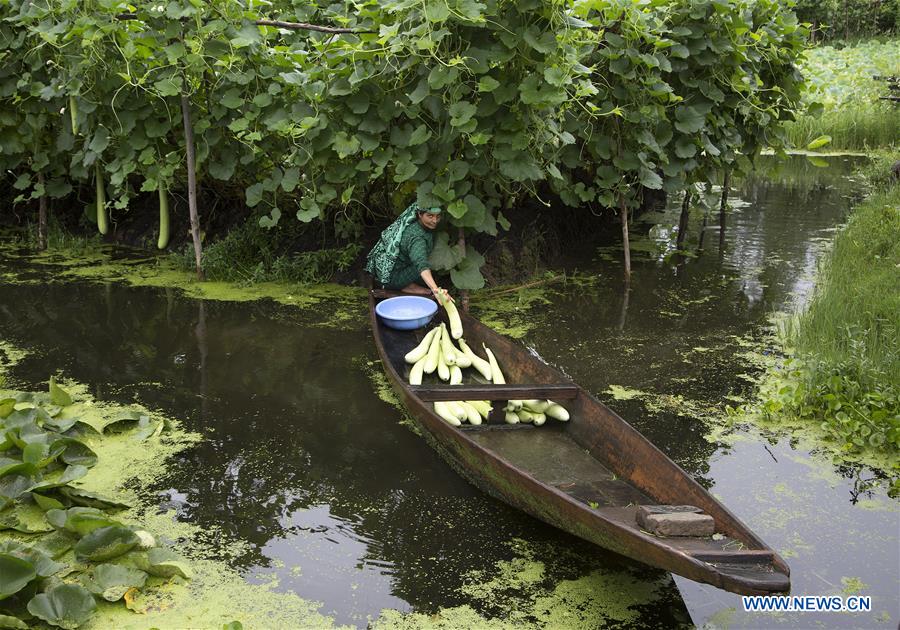 KASHMIR-SRINAGAR-DAILY LIFE